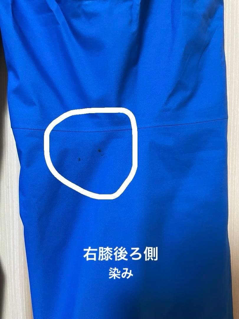 Patagonia M’s shot pants M