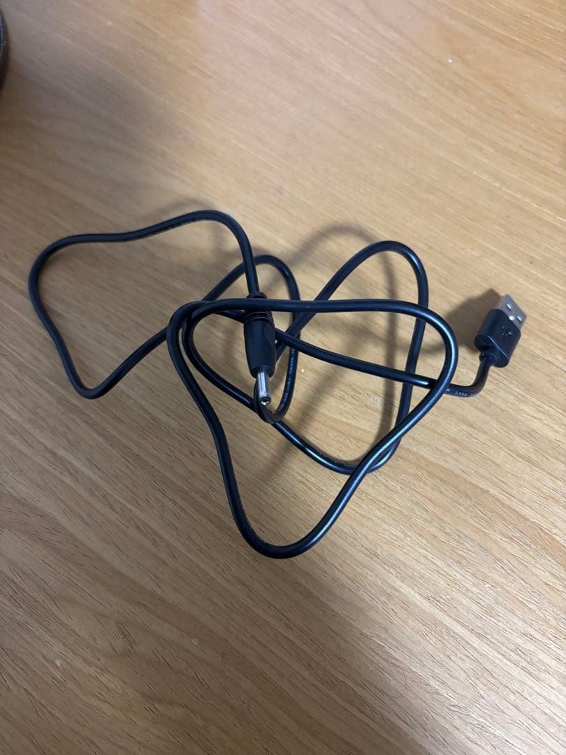 早い者勝ち！ LEDライト サンタスレイ ケージ型